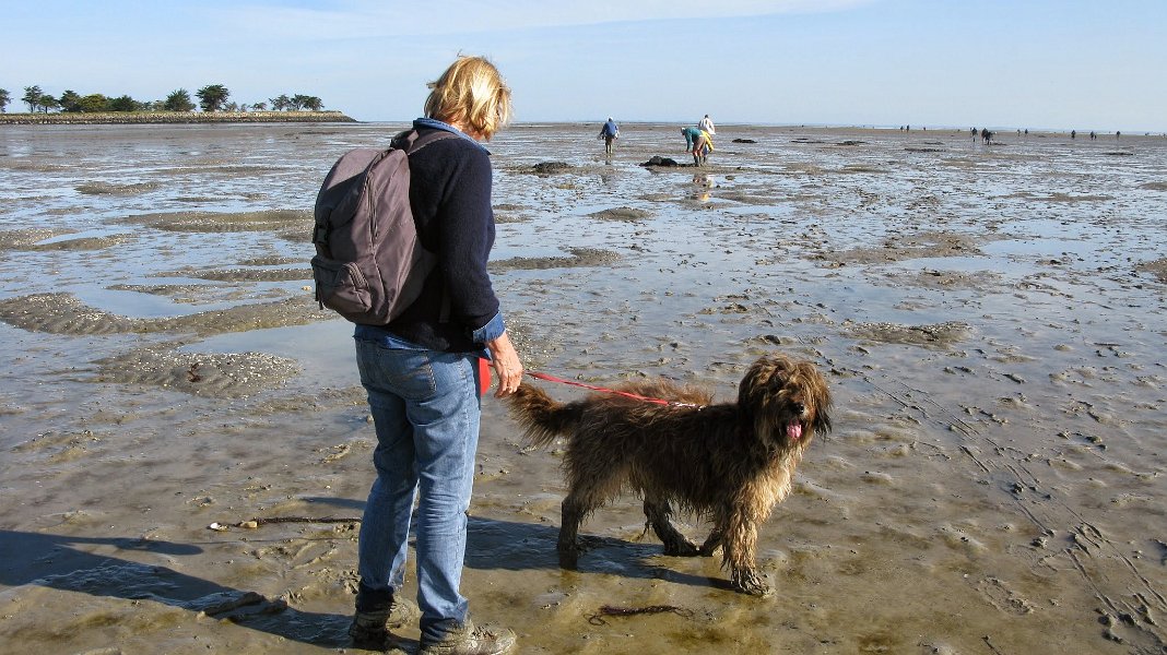 2014 Ile de Noirmoutiers (162)